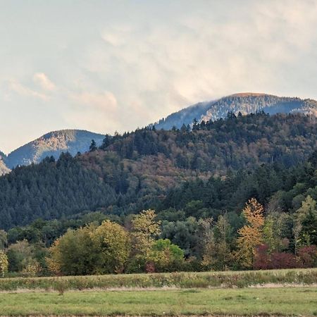 Ferienwohnung Belchenblick Staufen im Breisgau Dış mekan fotoğraf