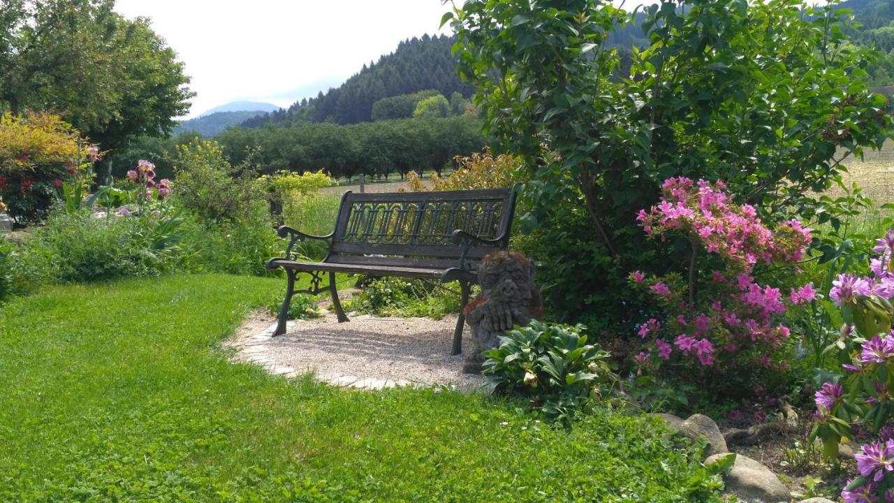 Ferienwohnung Belchenblick Staufen im Breisgau Dış mekan fotoğraf
