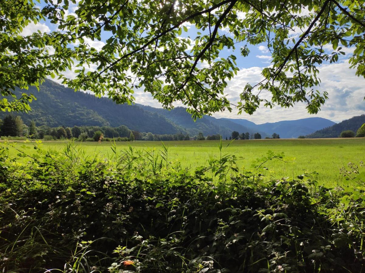 Ferienwohnung Belchenblick Staufen im Breisgau Dış mekan fotoğraf