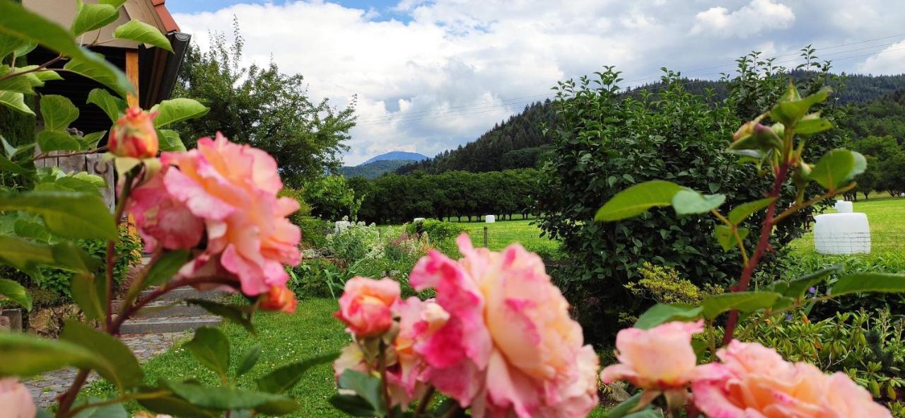 Ferienwohnung Belchenblick Staufen im Breisgau Dış mekan fotoğraf