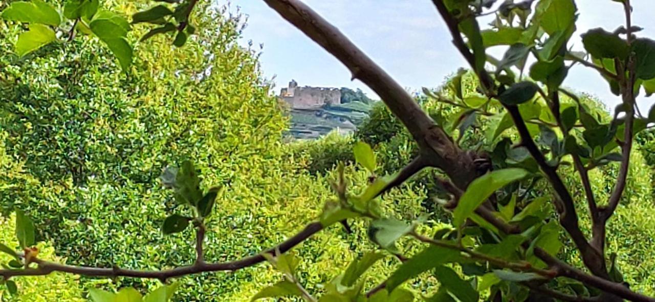 Ferienwohnung Belchenblick Staufen im Breisgau Dış mekan fotoğraf