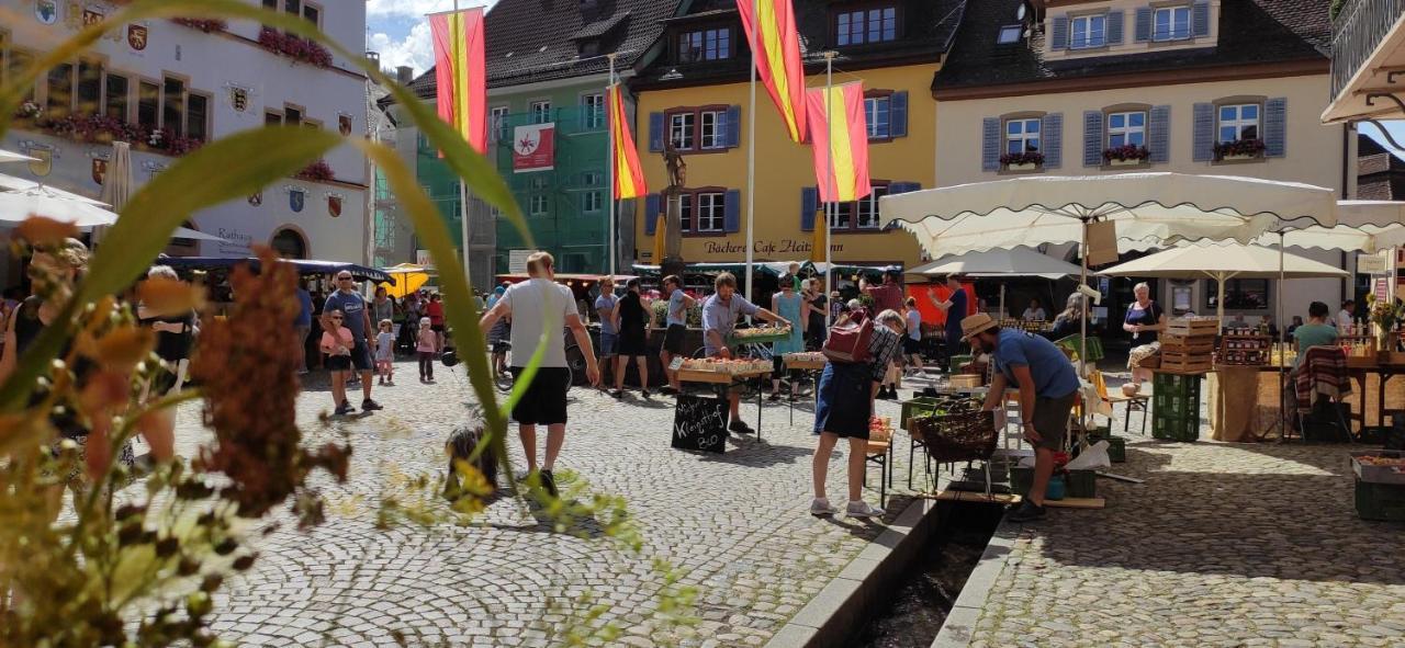 Ferienwohnung Belchenblick Staufen im Breisgau Dış mekan fotoğraf