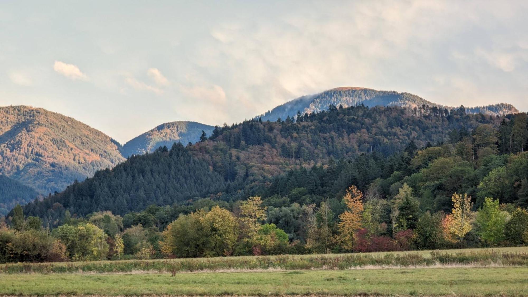 Ferienwohnung Belchenblick Staufen im Breisgau Dış mekan fotoğraf